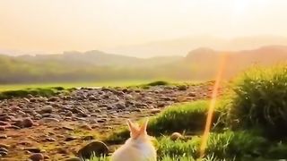 O que os outros oferecem de volta não é sobre você