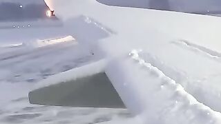 The snowy flight