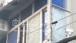 Save the cat