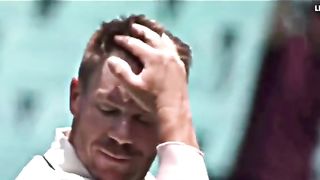 Great career of David Warner has been end
