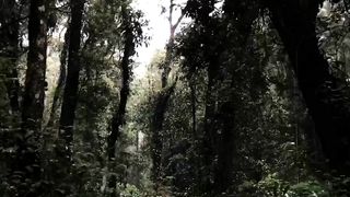 Montain 3