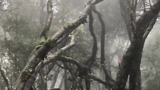 Montain 6