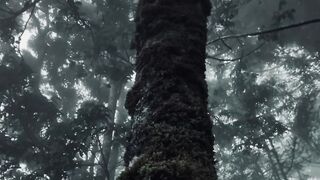 Montain 8
