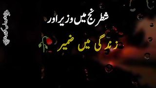 Wazir aur zameer
