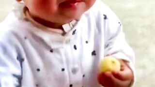 Funny video 2024 3