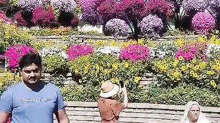 Beauty of Dubai 4
