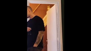 Funny Cat Clips
