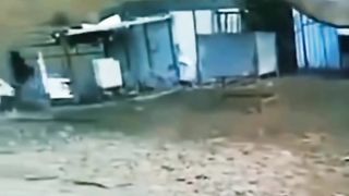 Funny ???????? 43