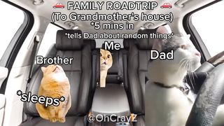 Cat Memes: Roadtrip Ep. 2 | 100k Subscriber Special ???? |