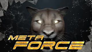 META FORCE PART 1