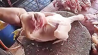 Nice cutting 2