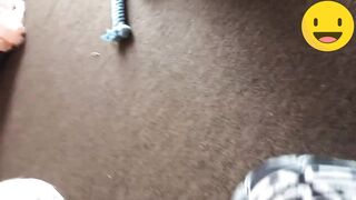 funny animals