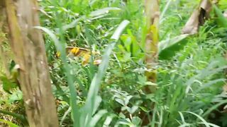 love nature