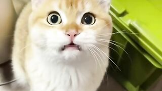 the FUNNIEST TIK TOK MEMES of 2022