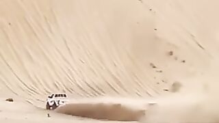Mountain Dew