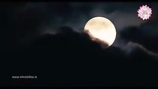 Thats amazing