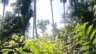 sri lanka village nature????️