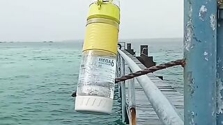 Watersea