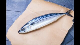 How To Revive a Fish