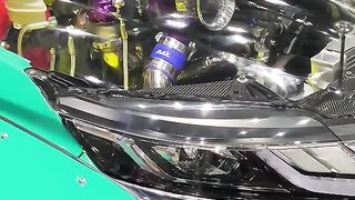 TRITON MODIFICATION