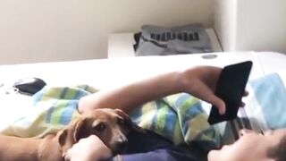 Fail Funny - Click Ads Pls