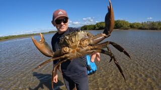 GIANT MUD CRAB _ almost STEPPED ON IT!!