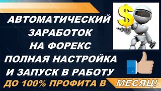 Automatic earnings on Forex, complete setup and launch