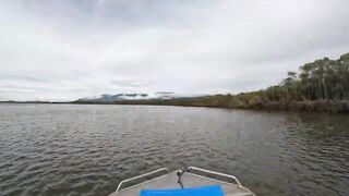 GIANT MUD CRABS _ The easy way to catch