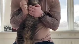 Dogs treatment of the spine reaction of dogs