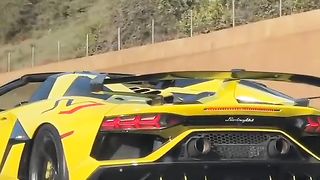 Svj Yelloe