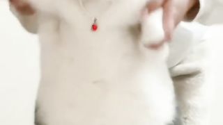CAT ???????? 3