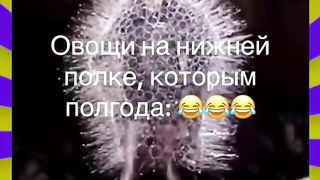 Овощи на нижней полке