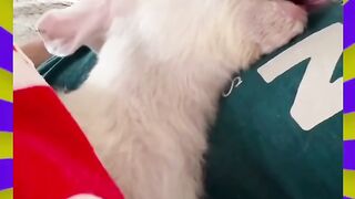 Проснулся что бы полюбоваться как она спит