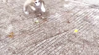 Wait for me mom