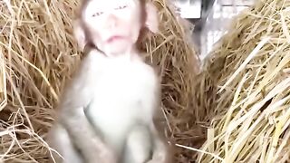 Surprised again beautiful dream