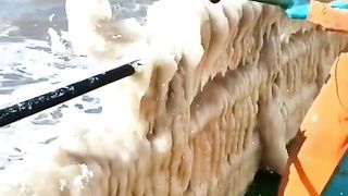 Frozen ship