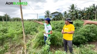 1 Biggest Mistake na eventually na Correct nya kaya sya nag Boom sa Farming Business