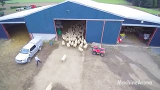 Intelligent Sheep Farming Method - Lamb Slaughter & Processing Plant - Wool Manufacturing Technology