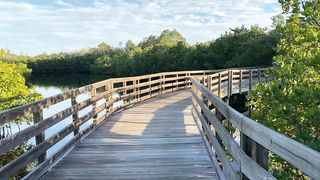 The amazing Emerson Point Preserve