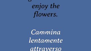 Learn English to Italian Adverbs 12