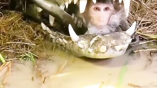 viral kid monkey