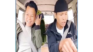 top people doing stupid things