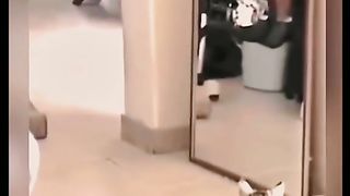 Funny actions 108