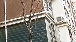 Funny actions 110