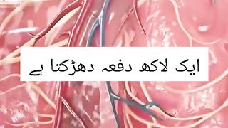 GI4TkRe7WMlhHboEAMswtlYcEKRx