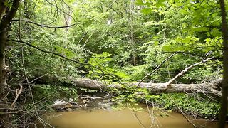 water stearm asmr