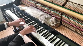 Doraemon Theme Song - Piano Meowssage