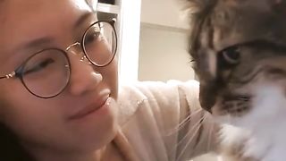 cat funyy videos 4