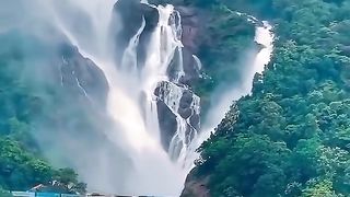 Sri lankan beauty