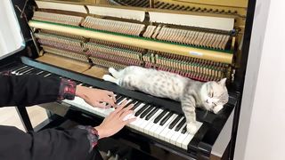 Chinese traditional music part 2